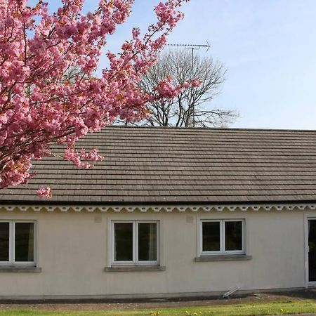 Sunny Bungalow Courtown Exteriér fotografie