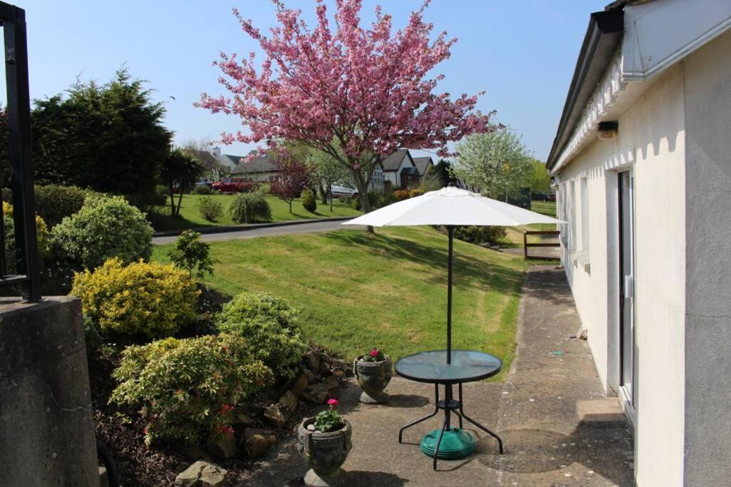 Sunny Bungalow Courtown Exteriér fotografie