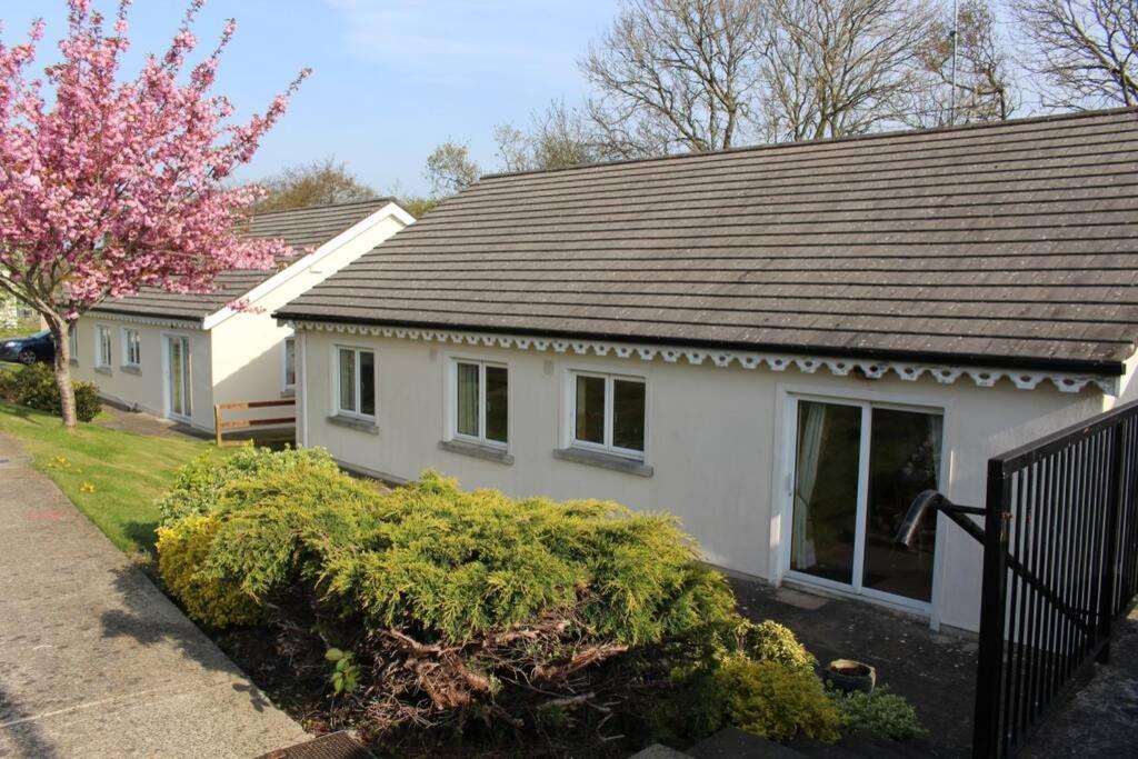 Sunny Bungalow Courtown Exteriér fotografie